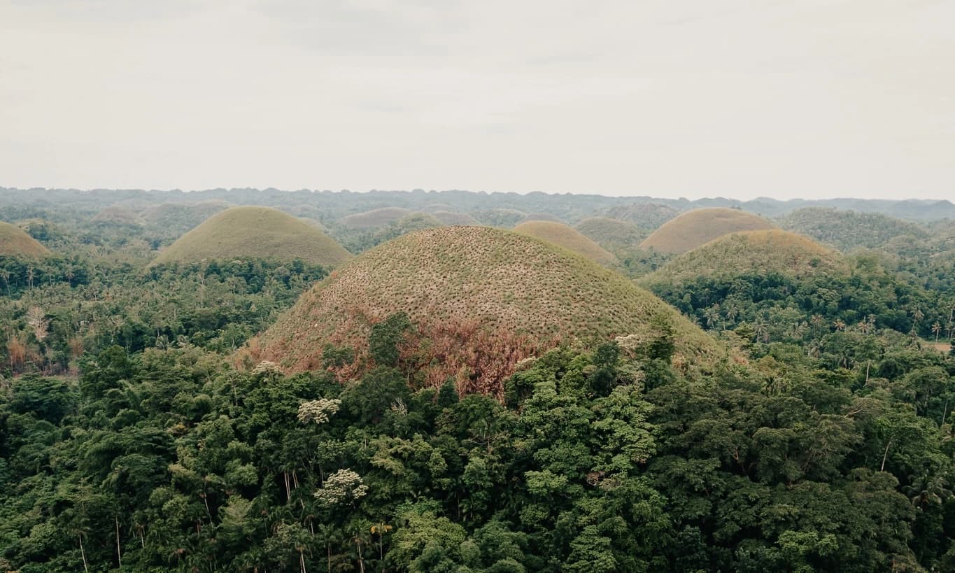 Bohol