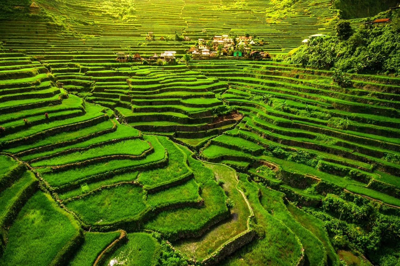 Baguio & Cordilleras