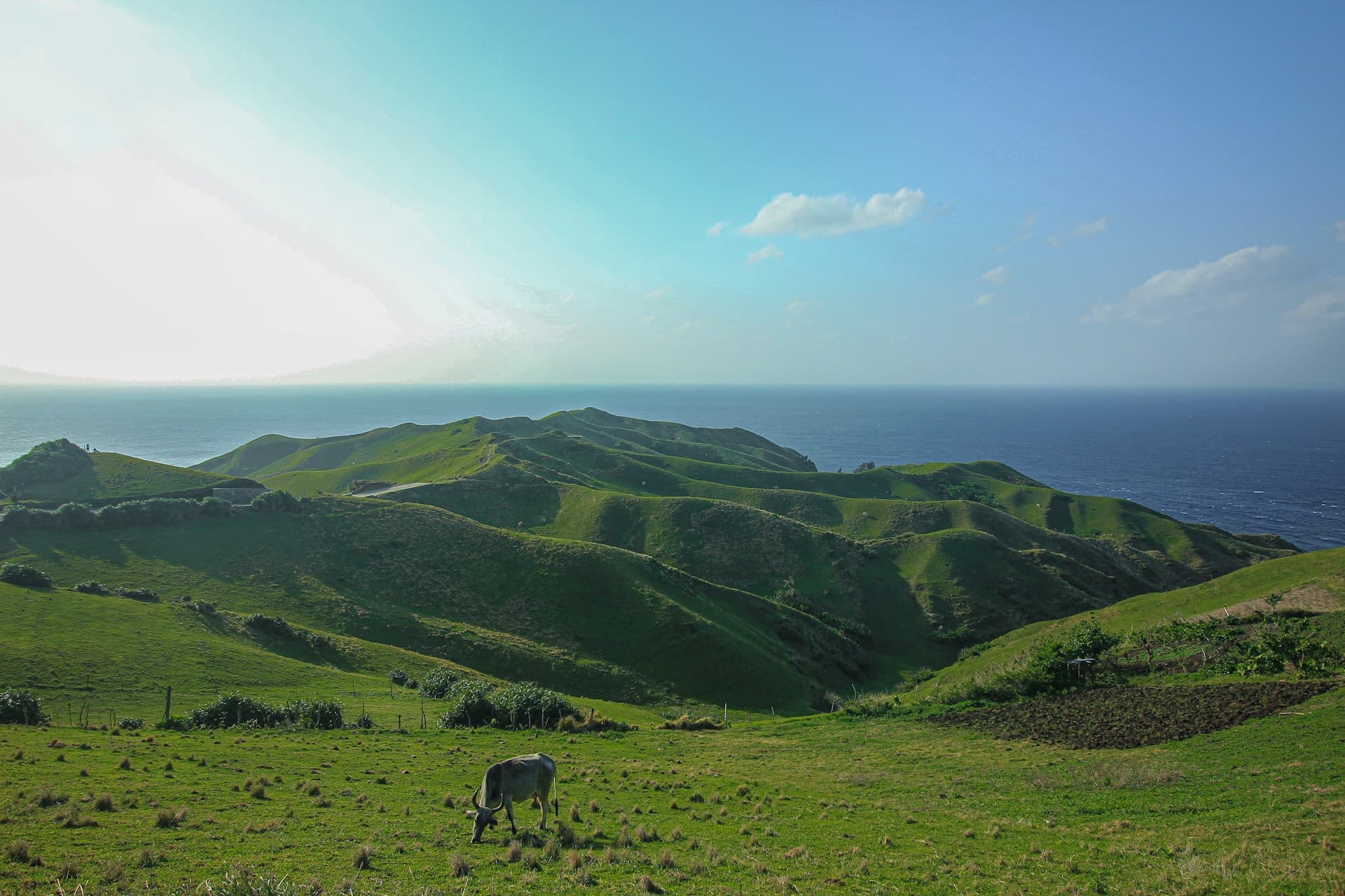 Domestic tourism powers economic recovery and local growth in the Philippines