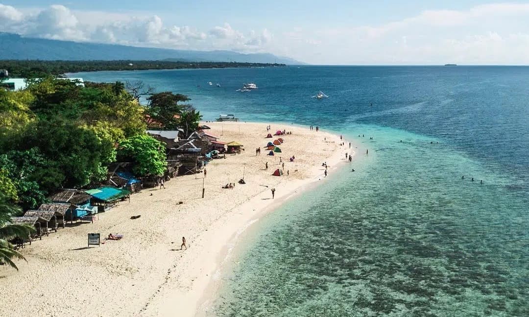 Philippine Tourism Awards crowns Moalboal Top 3 dive destination as sardine run, coral gardens, and marine sanctuaries wow national spotlight