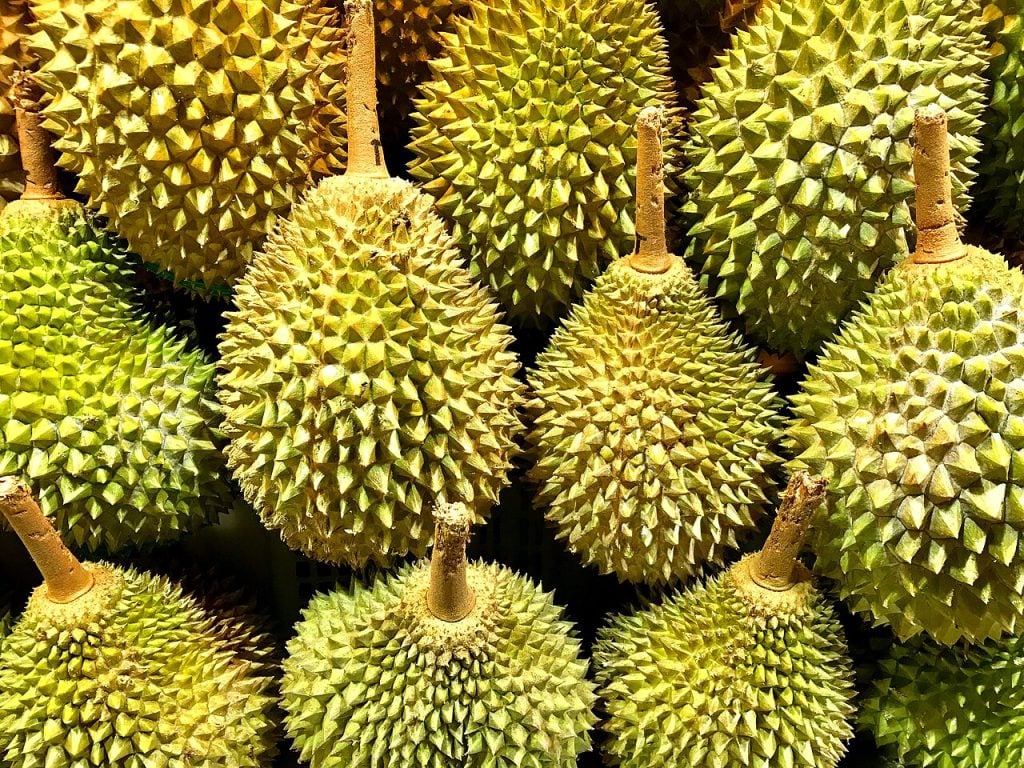 Grilled Durian: Why Local Delicacy With Cheese Toppings Is Drawing ...